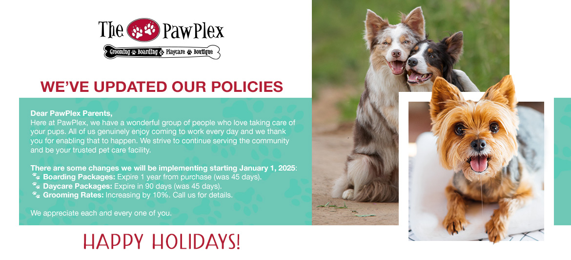 PAW-DEC-2025-POLICY-UPDATE-WB-01